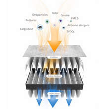 Load image into Gallery viewer, Ozein Mobile UV Series